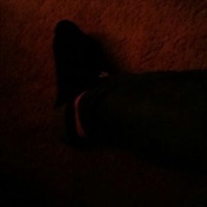 Meet your Posher, Oj